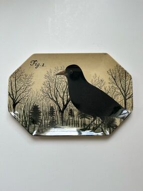 John Derian for Target Large Octagon Melamine Tray Platter with a Bird Crow